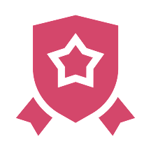 Excellence in Professionalism